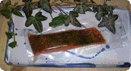 Ökolachsfilet Dill